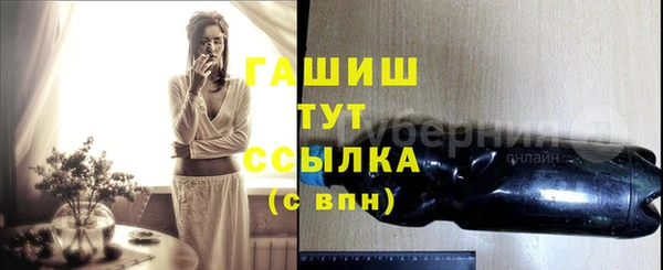 молекула духа Медвежьегорск