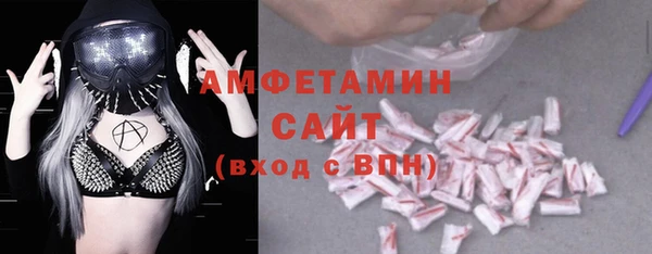 молекула духа Медвежьегорск