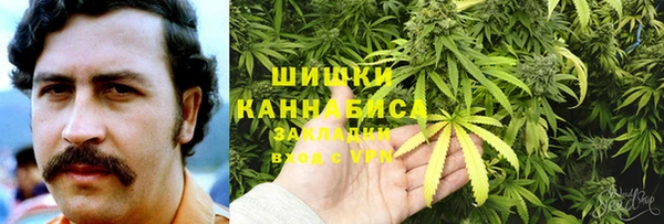 ПСИЛОЦИБИНОВЫЕ ГРИБЫ Мегион