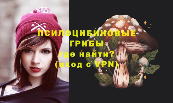 ПСИЛОЦИБИНОВЫЕ ГРИБЫ Мегион