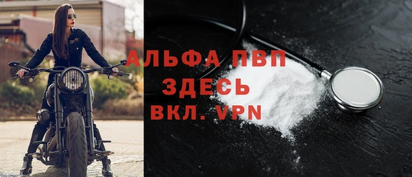 молекула духа Медвежьегорск