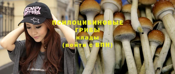молекула духа Медвежьегорск