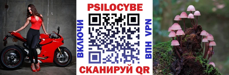 Купить Ардон Псилоцибиновые грибы прущие грибы